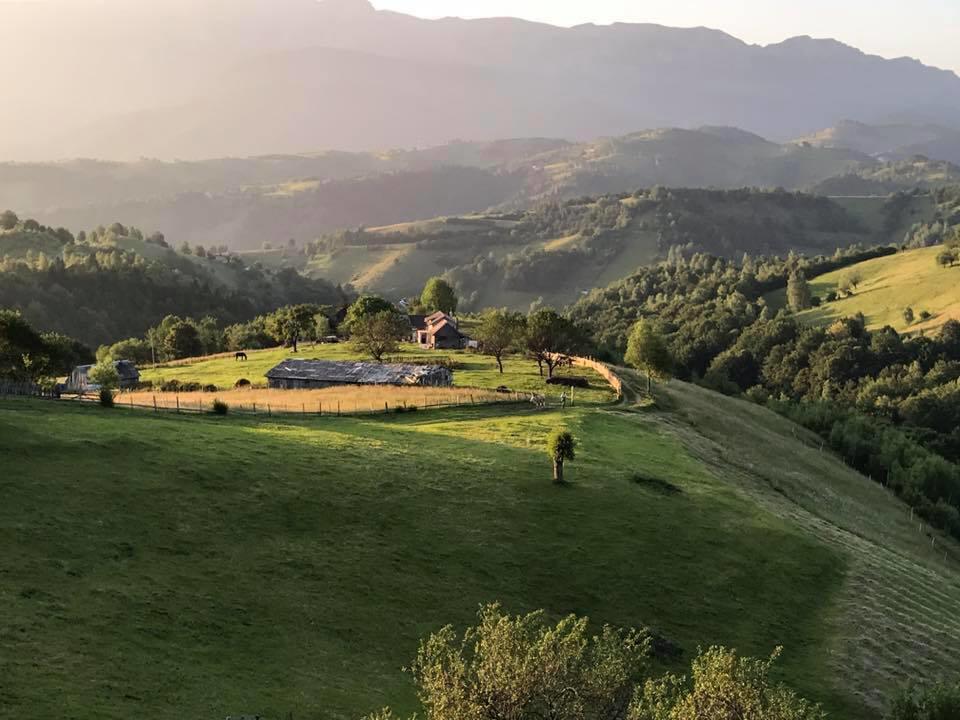 Pensiunea Casa Boiereasca Peștera Bagian luar foto